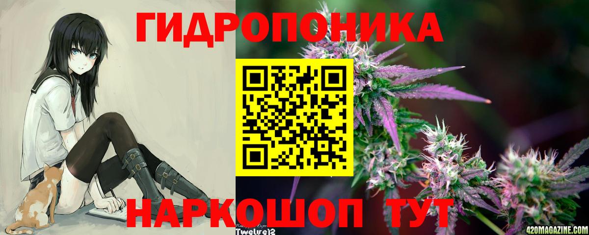 Марихуана гибрид  Шишки марихуана SATIVA & INDICA  Вход с VPN  Кировск  Марихуана индика 